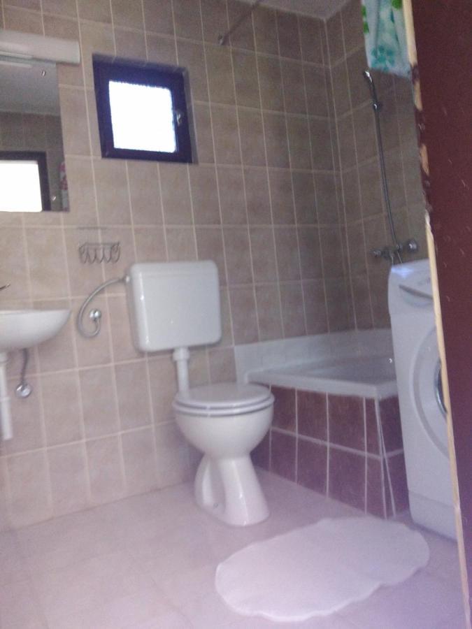 Apartment Zola Gornji Karin Esterno foto